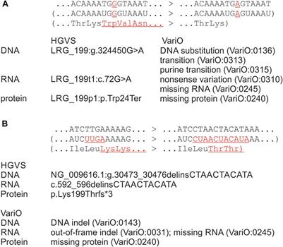 Systematic errors in annotations of truncations, loss-of-function and synonymous variants